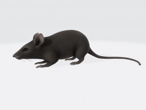 Mouse Ready to Print 3D-printmodel