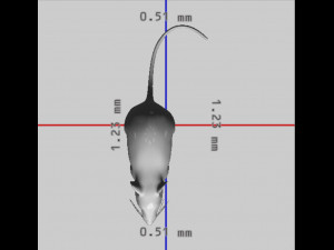 Mouse Ready to Print 3D-printmodel