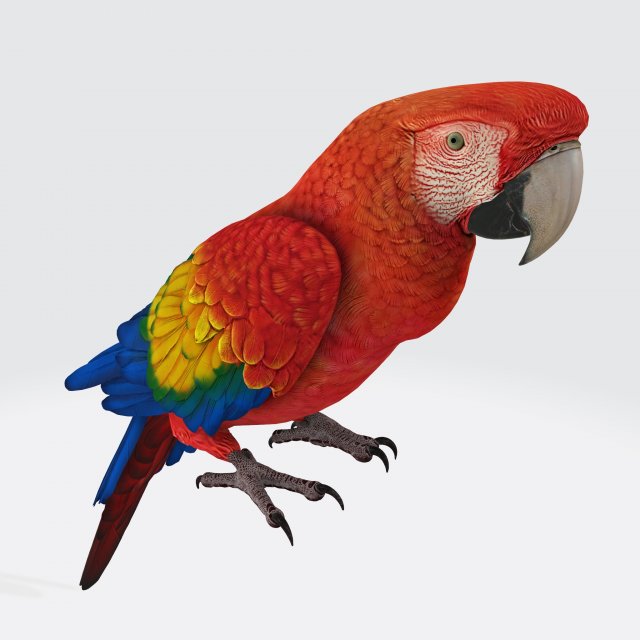 Parrot Ready to Print Modelo de impresión 3D .c4d .max .obj .3ds .fbx .stl .blend 