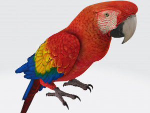 Parrot Ready to Print Modelo de impresión 3D