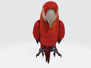 Parrot Ready to Print Modelo de impresión 3D
