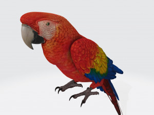 Parrot Ready to Print Modelo de impresión 3D