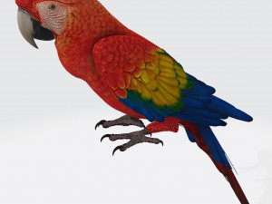 Parrot Ready to Print Modelo de impresión 3D