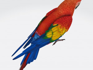 Parrot Ready to Print Modelo de impresión 3D