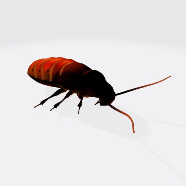 Oriental Cockroach Ready to Print 3Dプリントモデル .c4d .max .obj .3ds .fbx .stl .blend 