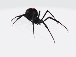 Black Widow Spider Ready to Print 3D Print Model