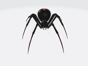 Black Widow Spider Ready to Print 3D Print Model