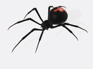 Black Widow Spider Ready to Print 3D Print Model