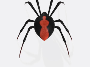 Black Widow Spider Ready to Print 3D Print Model