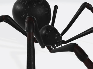 Black Widow Spider Ready to Print 3D Print Model