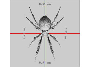 Black Widow Spider Ready to Print 3D Print Model