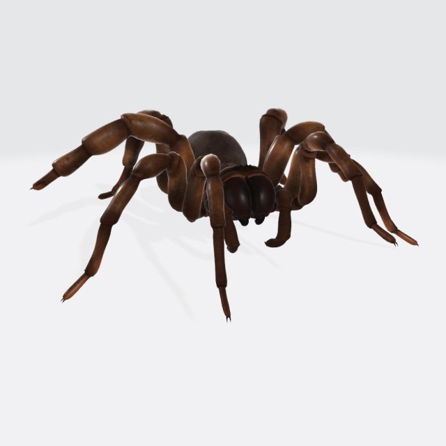 Creepy Spider Ready to Print 3D Print Model .c4d .max .obj .3ds .fbx .stl .blend 