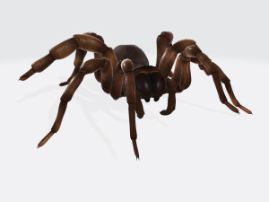 Creepy Spider Ready to Print 3D Print Model