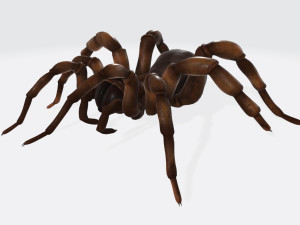 Creepy Spider Ready to Print 3D Print Model