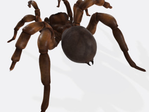 Creepy Spider Ready to Print 3D Print Model