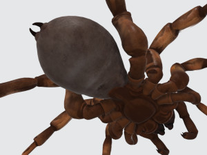 Creepy Spider Ready to Print 3D Print Model