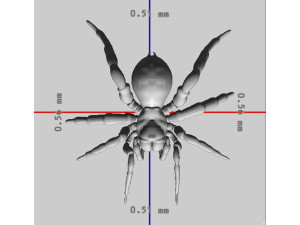 Creepy Spider Ready to Print 3D Print Model