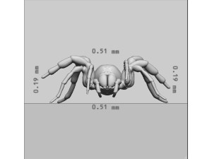 Creepy Spider Ready to Print 3D Print Model