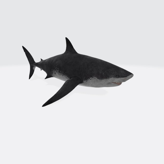 Megalodon Shark Ready to Print Model Cetak 3D .c4d .max .obj .3ds .fbx .stl .blend 