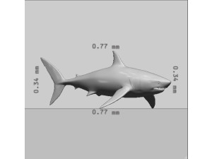 Megalodon Shark Ready to Print Model Cetak 3D