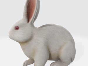 White Rabbit Ready to Print 3D Принт Модель