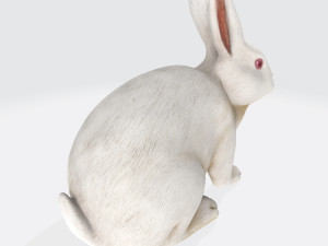 White Rabbit Ready to Print 3D Принт Модель