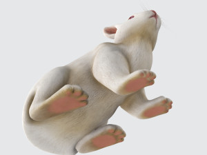 White Rabbit Ready to Print 3D Принт Модель