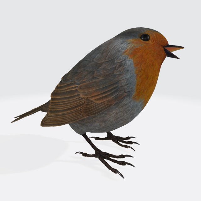 Singing Robin Ready to Print 3D Принт Модель .c4d .max .obj .3ds .fbx .stl .blend 