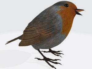 Singing Robin Ready to Print 3D 打印模型
