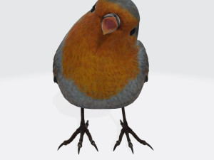 Singing Robin Ready to Print 3D Принт Модель