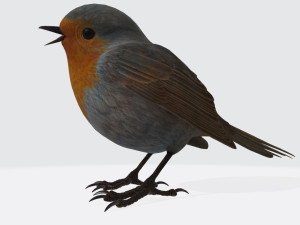 Singing Robin Ready to Print 3D Принт Модель