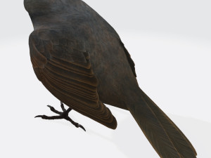 Singing Robin Ready to Print 3D Принт Модель