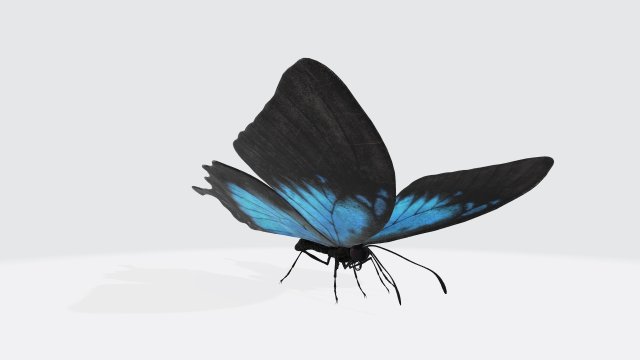 Ulysses Butterfly Ready to Print Model Cetak 3D .c4d .max .obj .3ds .fbx .stl .blend 