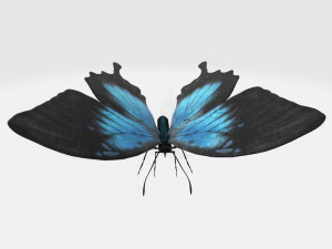 Ulysses Butterfly Ready to Print Model Cetak 3D