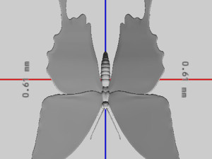 Ulysses Butterfly Ready to Print Model Cetak 3D
