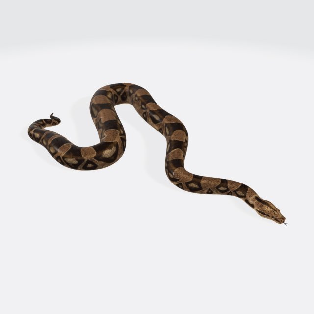 Python Snake Ready to Print 3D 打印模型 .c4d .max .obj .3ds .fbx .stl .blend 
