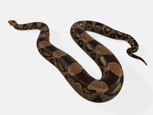 Python Snake Ready to Print 3D 打印模型