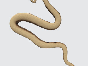 Python Snake Ready to Print 3D 打印模型