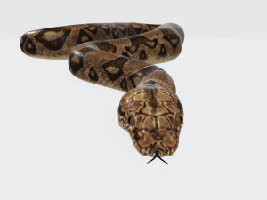 Python Snake Ready to Print 3D 打印模型