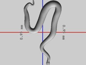Python Snake Ready to Print 3D 打印模型