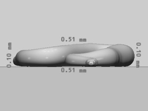 Python Snake Ready to Print 3D 打印模型