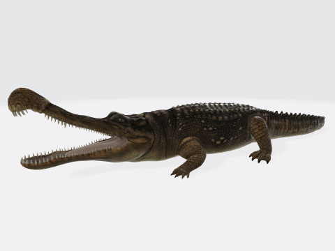 Sarcosuchus Ready to Print 3D 프린트 모델