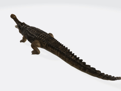 Sarcosuchus Ready to Print 3D 프린트 모델
