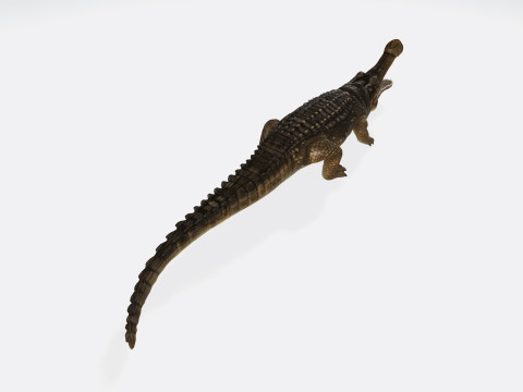 Sarcosuchus Ready to Print 3D 프린트 모델