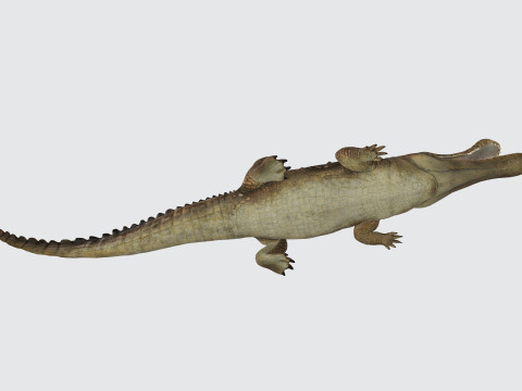 Sarcosuchus Ready to Print 3D 프린트 모델