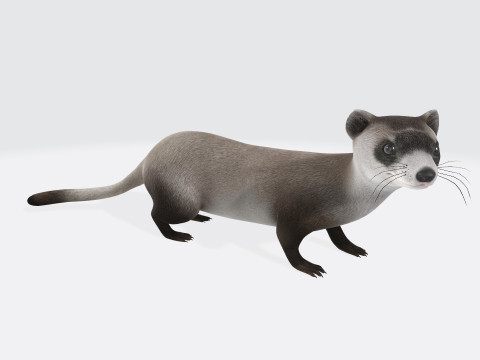 Weasel Animal Figure Ready to Print 3D Model
