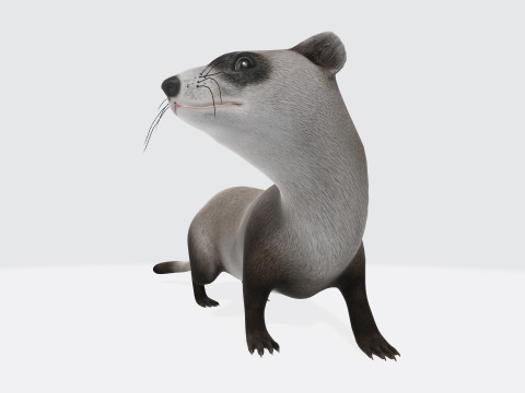 Weasel Animal Figure Ready to Print Modelo 3D