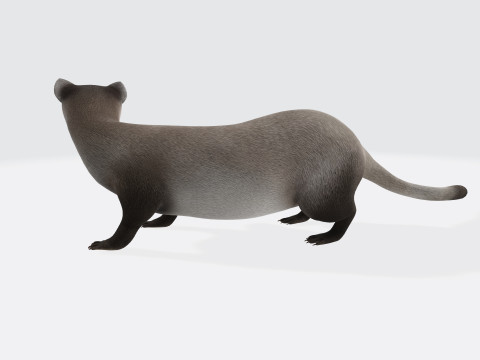 Weasel Animal Figure Ready to Print Modelo 3D
