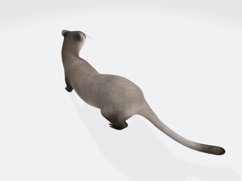 Weasel Animal Figure Ready to Print Modelo 3D