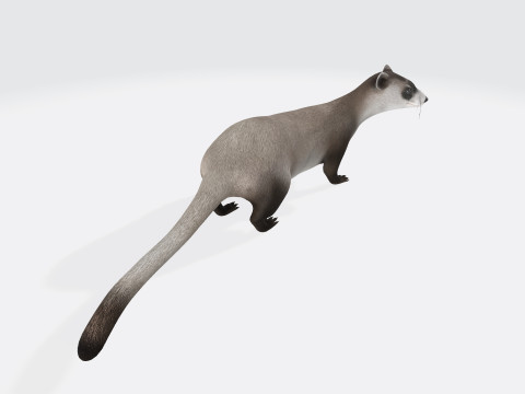 Weasel Animal Figure Ready to Print Modelo 3D